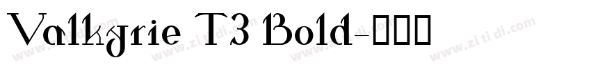 Valkyrie T3 Bold字体转换